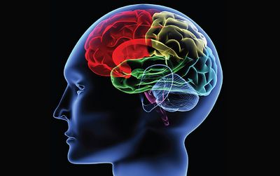 อาการของโรคสมองเสื่อมในอัลไซเมอร์